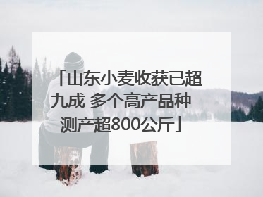 山东小麦收获已超九成 多个高产品种测产超800公斤