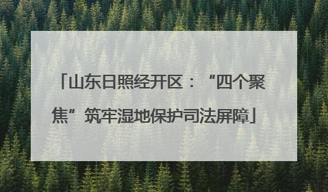 山东日照经开区：“四个聚焦”筑牢湿地保护司法屏障