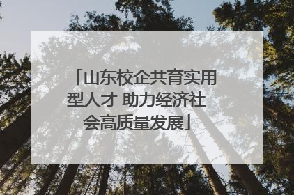 山东校企共育实用型人才 助力经济社会高质量发展