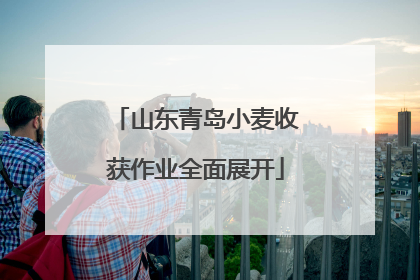 山东青岛小麦收获作业全面展开