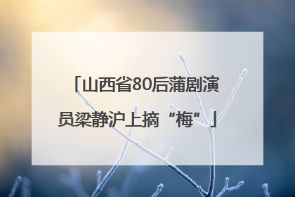 山西省80后蒲剧演员梁静沪上摘“梅”