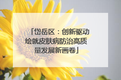 岱岳区：创新驱动绘就皮肤病防治高质量发展新画卷