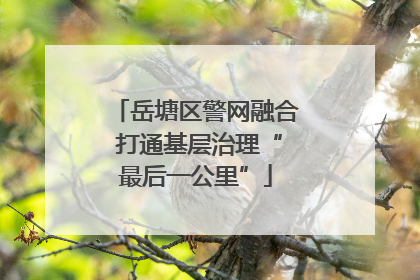 岳塘区警网融合 打通基层治理“最后一公里”
