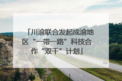 川渝联合发起成渝地区“一带一路”科技合作“双千”计划