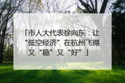 市人大代表徐向东：让“低空经济”在杭州飞得又“稳”又“好”