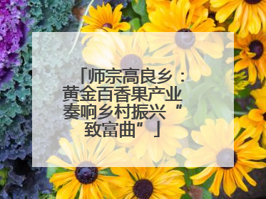 师宗高良乡：黄金百香果产业奏响乡村振兴“致富曲”
