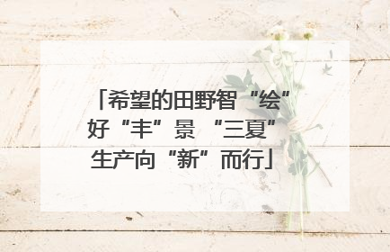 希望的田野智“绘”好“丰”景 “三夏”生产向“新”而行