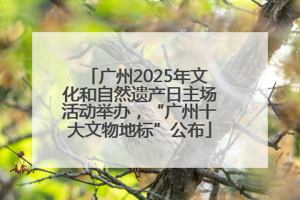 广州2025年文化和自然遗产日主场活动举办，“广州十大文物地标”公布