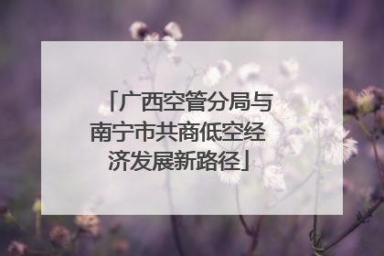广西空管分局与南宁市共商低空经济发展新路径