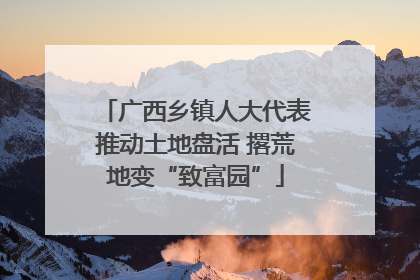 广西乡镇人大代表推动土地盘活 撂荒地变“致富园”
