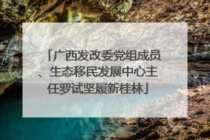 广西发改委党组成员、生态移民发展中心主任罗试坚履新桂林