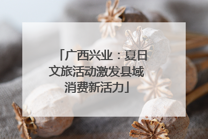 广西兴业：夏日文旅活动激发县域消费新活力