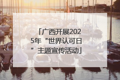 广西开展2025年“世界认可日”主题宣传活动