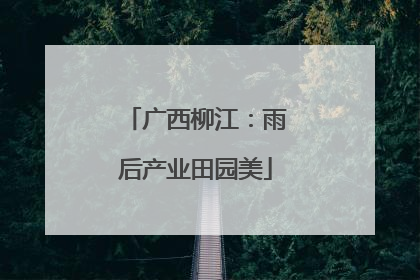 广西柳江：雨后产业田园美