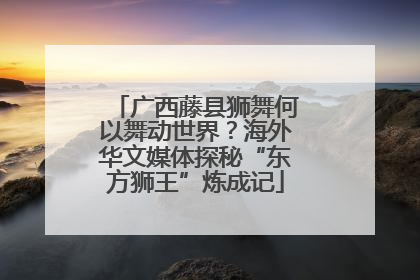 广西藤县狮舞何以舞动世界？海外华文媒体探秘“东方狮王”炼成记