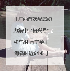 广西首次配属动力集中“复兴号”动车组 南宁至上海省时近6小时