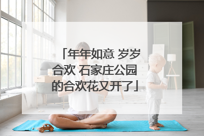 年年如意 岁岁合欢 石家庄公园的合欢花又开了
