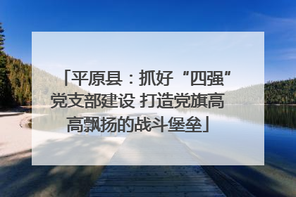 平原县:抓好“四强”党支部建设 打造党旗高高飘扬的战斗堡垒