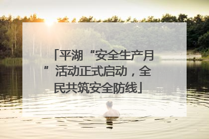 平湖“安全生产月”活动正式启动，全民共筑安全防线