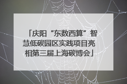 庆阳“东数西算”智慧低碳园区实践项目亮相第三届上海碳博会