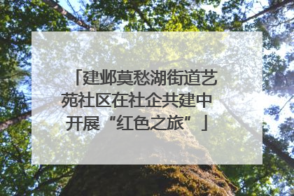 建邺莫愁湖街道艺苑社区在社企共建中开展“红色之旅”