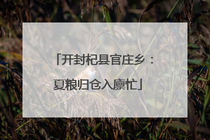 开封杞县官庄乡：夏粮归仓入廪忙