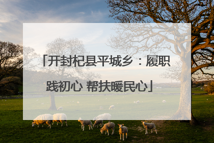 开封杞县平城乡：履职践初心 帮扶暖民心