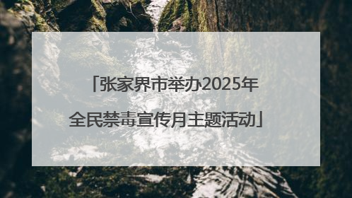 张家界市举办2025年全民禁毒宣传月主题活动