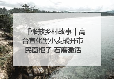 张掖乡村故事｜高台宣化黑小麦撬开市民面柜子 石磨激活村集体钱匣子