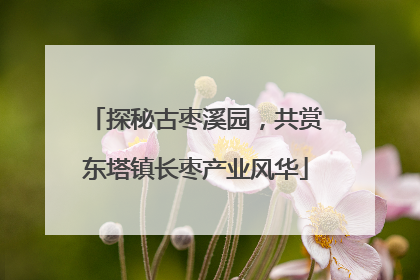 探秘古枣溪园，共赏东塔镇长枣产业风华