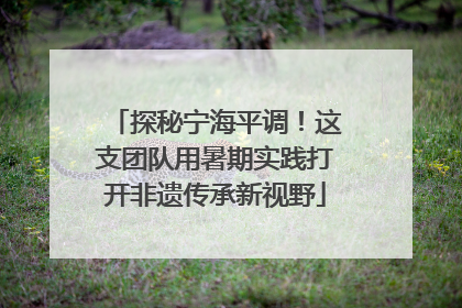 探秘宁海平调！这支团队用暑期实践打开非遗传承新视野