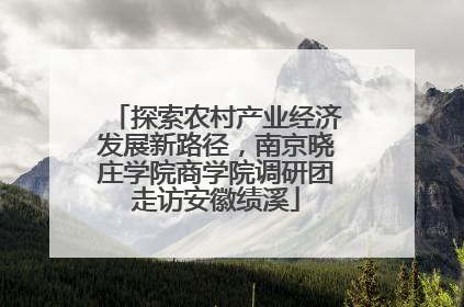 探索农村产业经济发展新路径，南京晓庄学院商学院调研团走访安徽绩溪