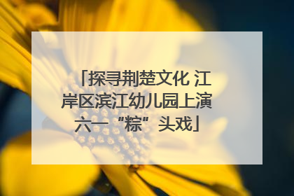 探寻荆楚文化 江岸区滨江幼儿园上演六一“粽”头戏