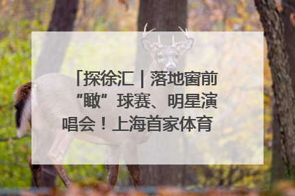 探徐汇｜落地窗前“瞰”球赛、明星演唱会！上海首家体育特色高端酒店亮相