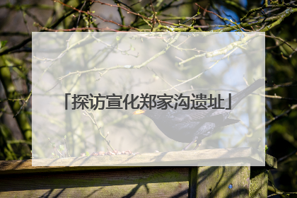 探访宣化郑家沟遗址