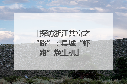 探访浙江共富之“路”：县城“虾路”焕生机