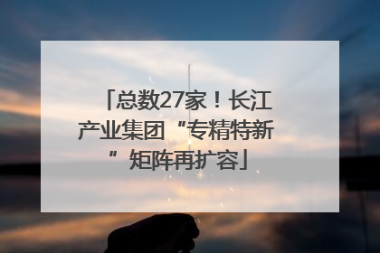 总数27家！长江产业集团“专精特新”矩阵再扩容
