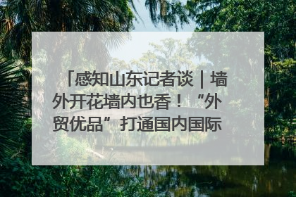 感知山东记者谈｜墙外开花墙内也香！“外贸优品”打通国内国际市场“旋转门”