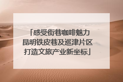 感受街巷咖啡魅力 昆明铁皮巷及巡津片区打造文旅产业新坐标