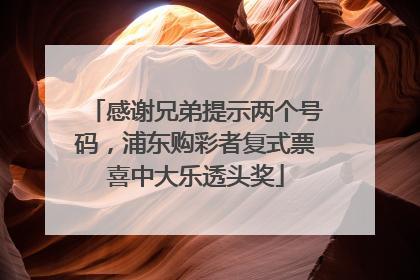 感谢兄弟提示两个号码，浦东购彩者复式票喜中大乐透头奖