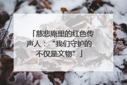 慈悲庵里的红色传声人：“我们守护的不仅是文物”