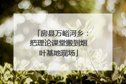 房县万峪河乡：把理论课堂搬到烟叶基地现场