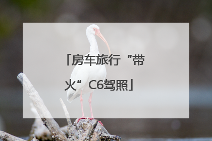 房车旅行“带火”C6驾照