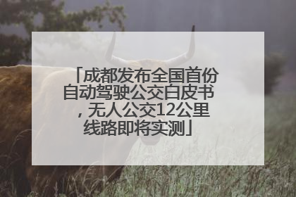 成都发布全国首份自动驾驶公交白皮书，无人公交12公里线路即将实测