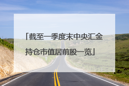 截至一季度末中央汇金持仓市值居前股一览