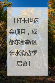 打卡世运会项目，成都东部新区亲水消费季启幕