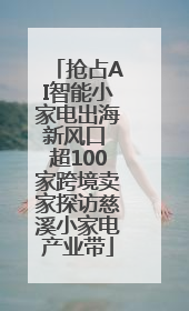 抢占AI智能小家电出海新风口 超100家跨境卖家探访慈溪小家电产业带