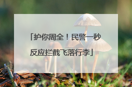 护你周全！民警一秒反应拦截飞落行李
