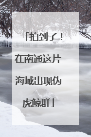 拍到了！在南通这片海域出现伪虎鲸群