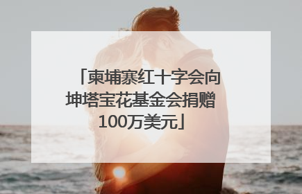柬埔寨红十字会向坤塔宝花基金会捐赠100万美元